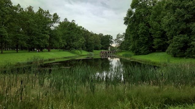 Роботы смогут любить. смотреть онлайн