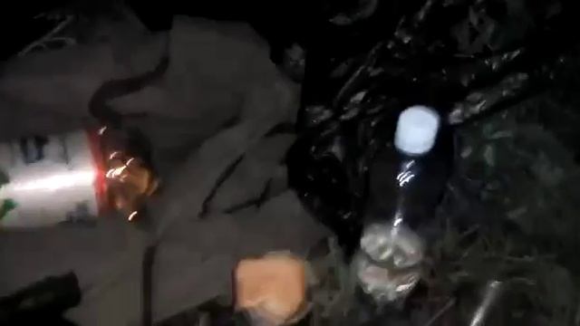 Охота на изюбря в период гона смотреть онлайн