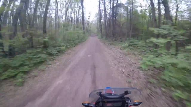 Honda CRF300L Rally Vs Yamaha Tenere 700