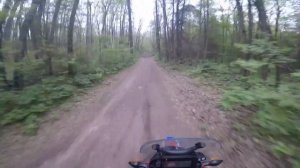 Honda CRF300L Rally vs Yamaha Tenere 700