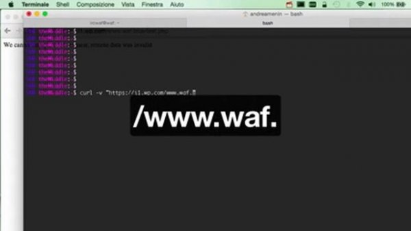 Wordpress i1.wp.com Abuse of Functionality