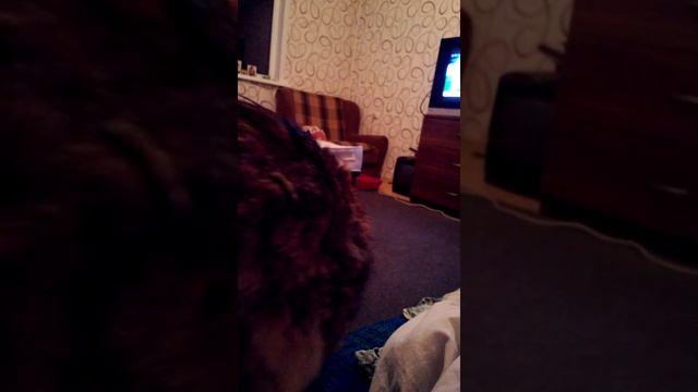 г.Москва, улица.Стартовая, дом 11.