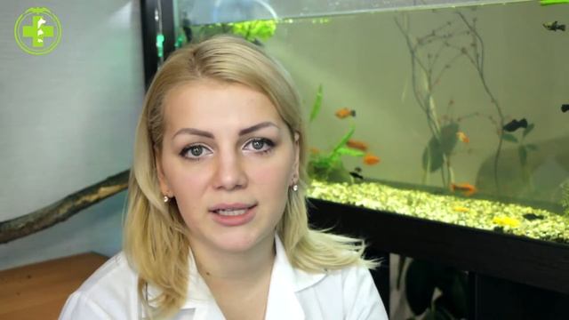 Содержание Улиток & Уход За Домашними Улитками. Ветклиника Био-Вет смотреть онлайн