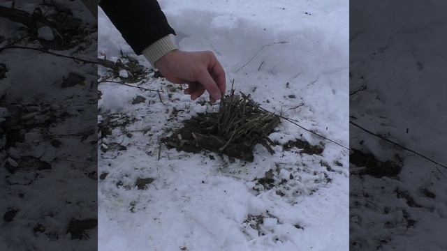 Разводим костер в сыром лесу с одной спички!!! смотреть онлайн