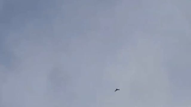Сокол Сапсан Ястреб тетеревятник атакуе/Эти птицы-солдаты смотреть онлайн