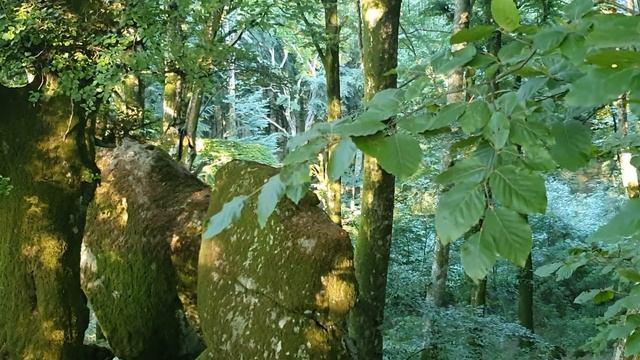 SORIANO NEL CIMINO E FAGGETA LAZIO смотреть онлайн