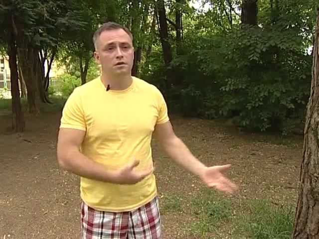 От звонка до замка смотреть онлайн