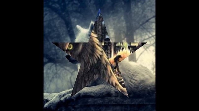 Волки это сила 3D!!! смотреть онлайн