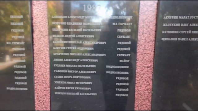 Встреча сослуживцев в Пензенской области. смотреть онлайн