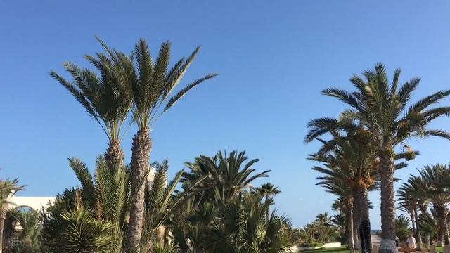 Отдых на острове Джерба сентябрь 2017 смотреть онлайн