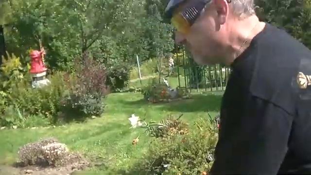 Тестируем газонокосилку бензиновую  Honda HRG 416C SKEH. Часть - 2. Тест. Достоинства и недостатки