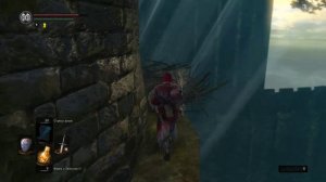 Секреты Dark souls remastered. 1) Как добраться к вороне до северного прибежища нежити