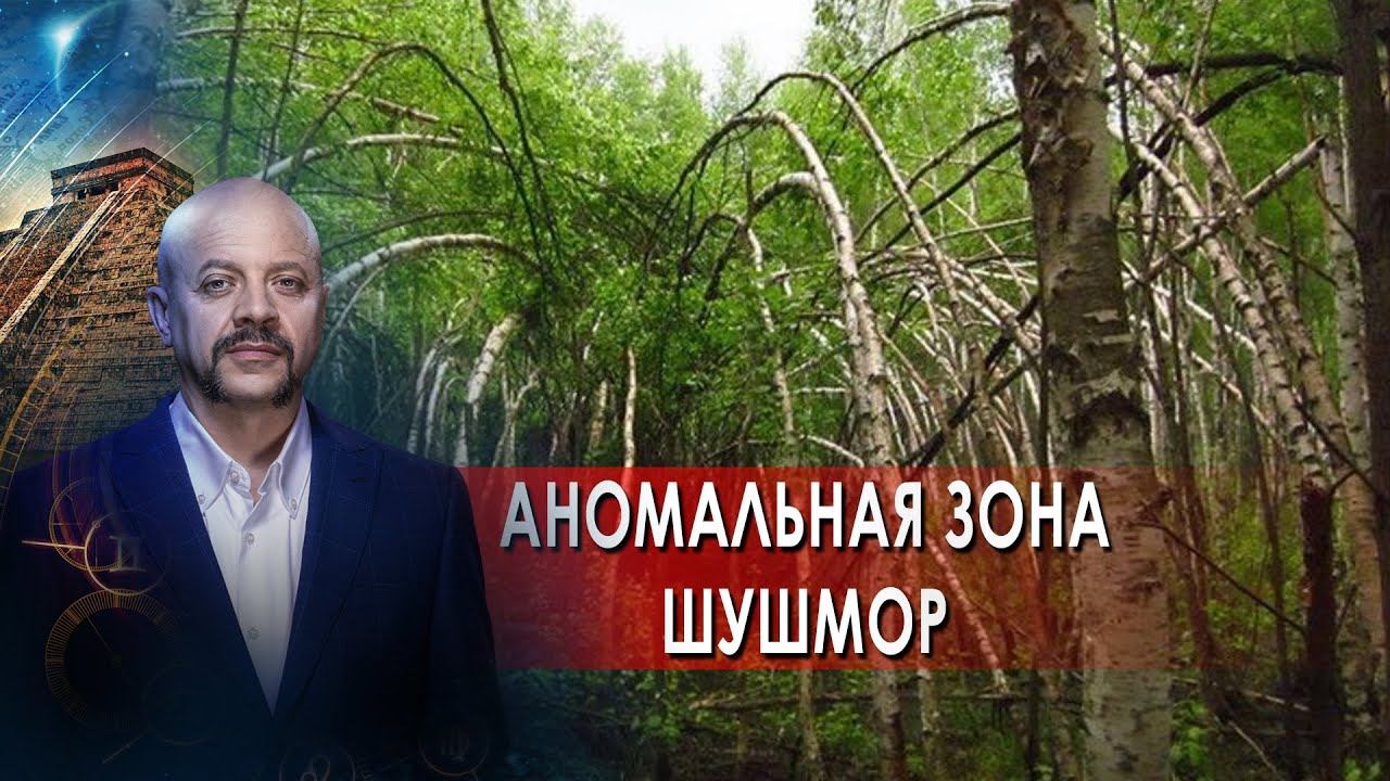 Аномальная зона Шушмор | Загадки человечества с Олегом Шишкиным (16.09.21). смотреть онлайн