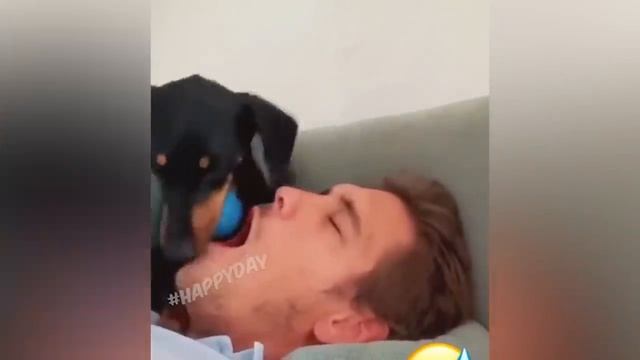  смотреть онлайн