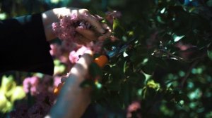 Голубица Моя, Голубица, Арт-группа LARGO