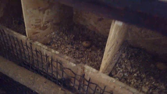 Срочно ищем лекарство / Попали к Тане на работу смотреть онлайн