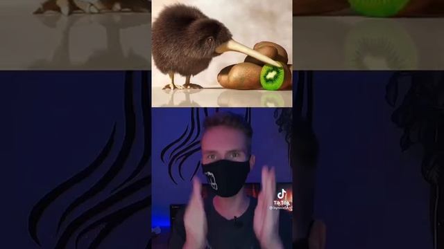 Интересные факты ?киви фрукт или птица ? ❓❓❓❓ смотреть онлайн