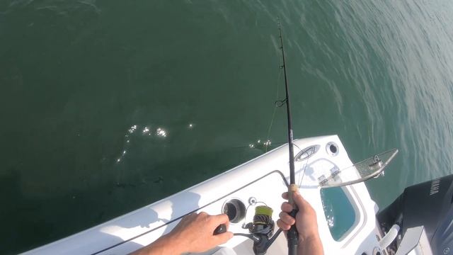 30 porgy in 45 min on 3 clams смотреть онлайн