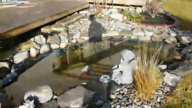 Зеленое рождество 2015 смотреть онлайн