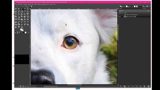 GIMP 2.0 Bildbeabeitung, Augen leuchten lassen, Hundefotografie, Fotoedit смотреть онлайн