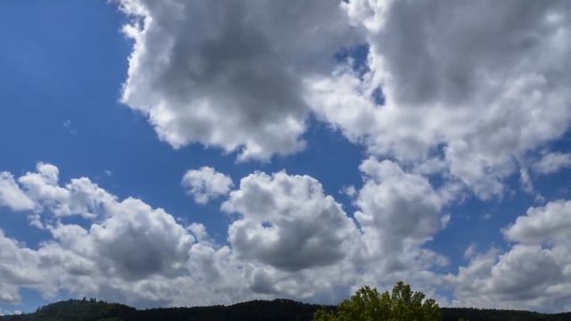 Они взяли из приюта пса, у которого не было своего двора и сделали ему настоящий сюрприз! смотреть онлайн