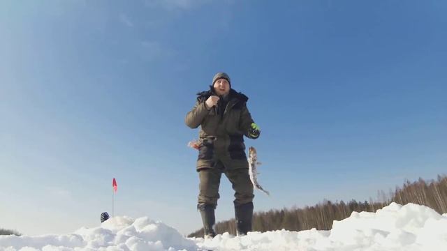 Щука на жерлицу, жерлица. Эстония зимняя рыбалка . смотреть онлайн