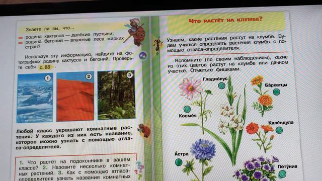 Окружающий мир #1 смотреть онлайн