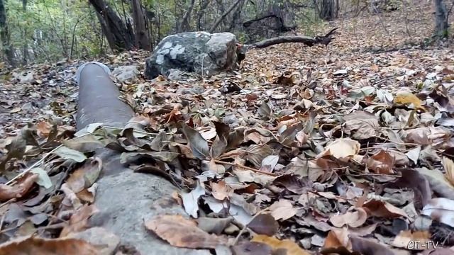 Крым. Сталинская груша с родником смотреть онлайн