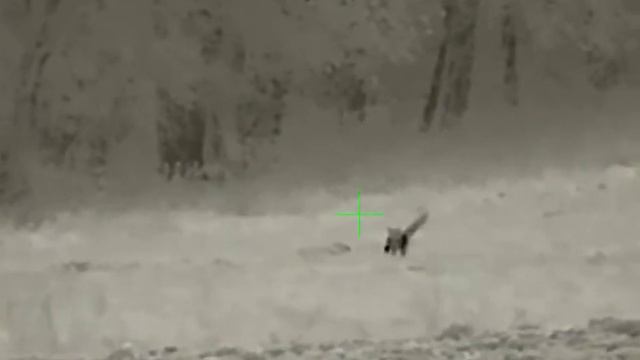 lov lišky s termovizí infiray SAIM SCH50 смотреть онлайн