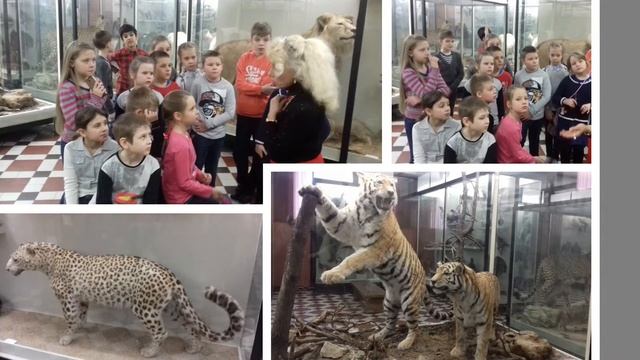 Экскурсия в Зоологический музей МГУ. 2-В класс смотреть онлайн