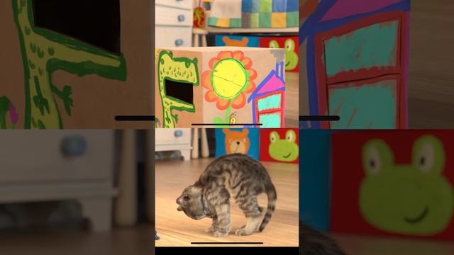MEOW LITTLE KITTEN ADVENTURE - SUPER ADVENTUROUS LITTLE CUTE KITTEN GAMES AND CUDDLES #shorts смотреть онлайн