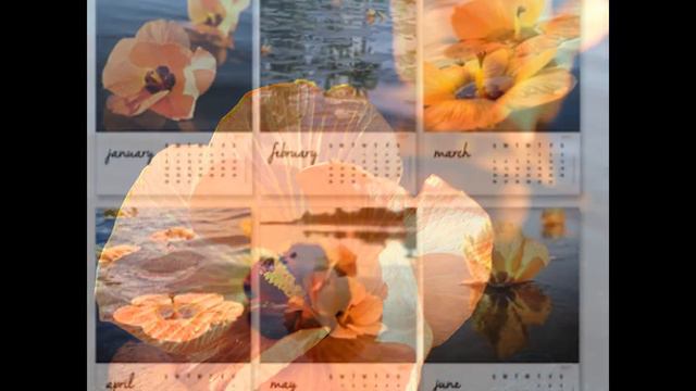 2017 Hibiscus Calendar смотреть онлайн