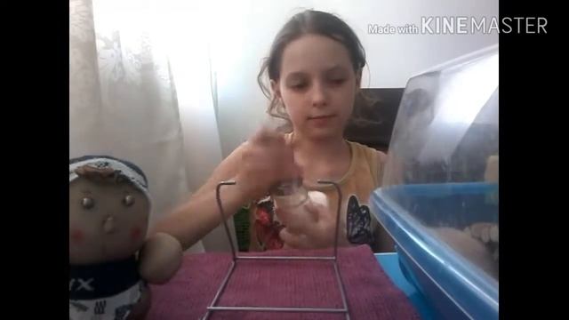 Как смазать колесо?|Мармеладка-хОм online смотреть онлайн