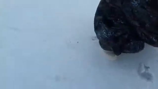 Рыбачка Соня. смотреть онлайн