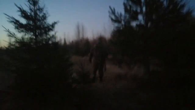 Охота на вальдшнепа. Королевский выстрел. смотреть онлайн