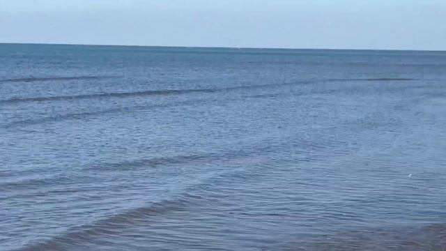 Овощные Котлеты из Баклажан.Каспийское море смотреть онлайн