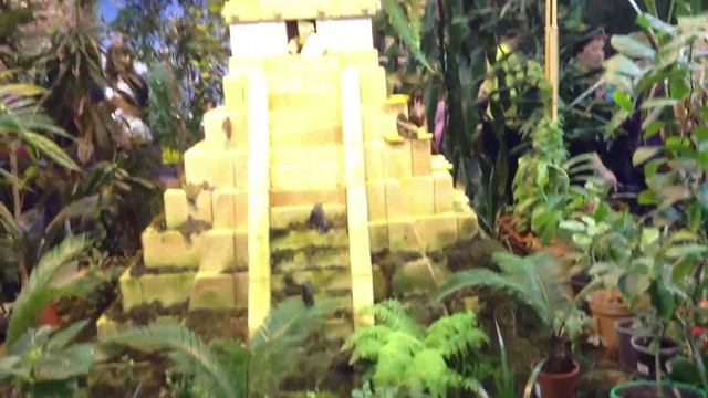 01. Как провести выходные в СПб? Сад Живых Бабочек. смотреть онлайн