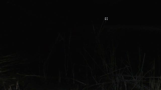Первая ночная рыбалка в 23 и обо всем понемногу! смотреть онлайн
