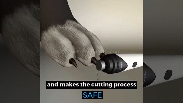 OFF SmoothPawz Dog Nail Trimmer HD смотреть онлайн
