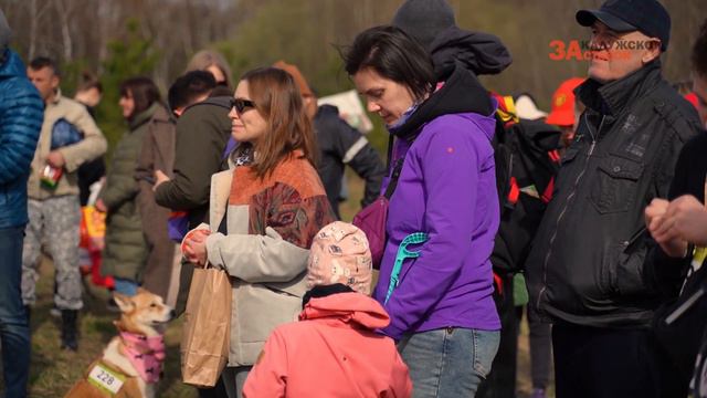 Забег «Быстрый Пёс» в Битцевском лесу смотреть онлайн