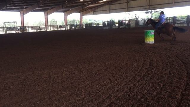 Drifters run at Winding Trails NBHA 5/14/16 смотреть онлайн