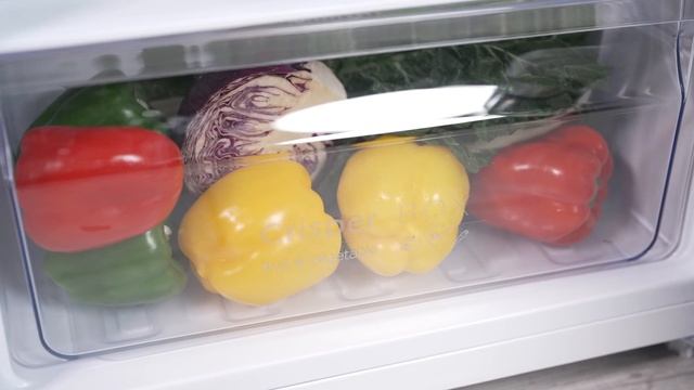Product Review: CHiQ 202L Retro Top Mount Fridge Black CRTM200NB смотреть онлайн