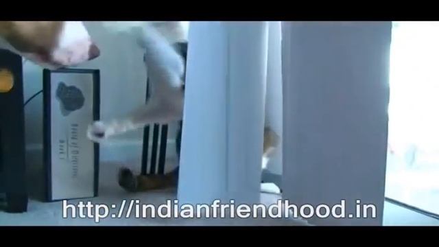 IndianFriendHood : Cruel Cat Vs Dog смотреть онлайн