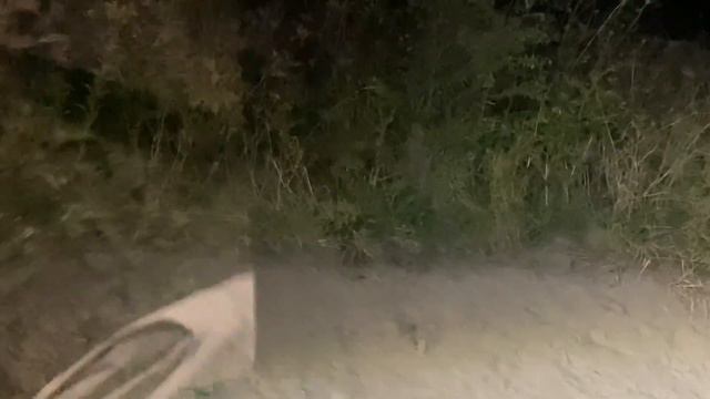 Поймал зайца. смотреть онлайн