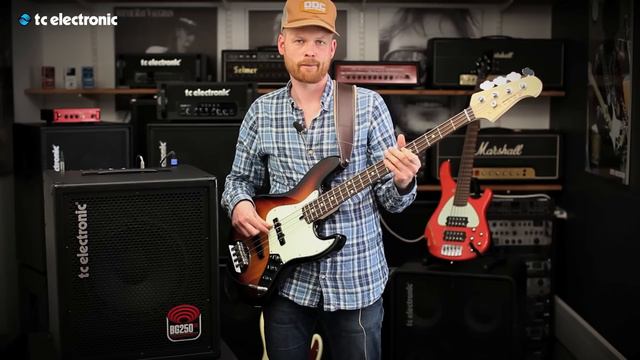 BG250-112 Bass Combo смотреть онлайн