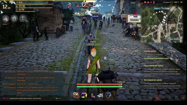 Black Desert: Ночной стрим. Финальный этап ЗБТ. Лучница. смотреть онлайн