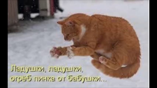 Wave Of Fun | Приколы про Котов № 2 смотреть онлайн