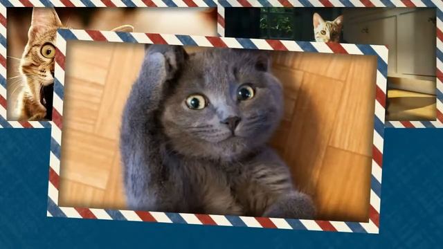 мои новогодние котики смотреть онлайн