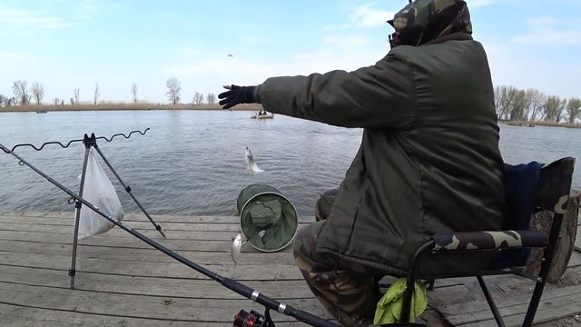 ВОБЛА 2019. Фидерная Рыбалка в Астрахани. Часть 5 смотреть онлайн