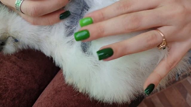 Деревенский БЛОКНОТИК. У моих цыплят черное мясо и пять пальчиков на лапках!!! смотреть онлайн